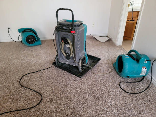 Best Water damage restoration experts  in Bard College, NY