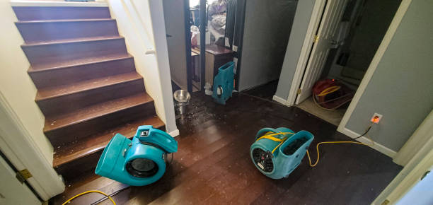 Best Water damage cleanup near me  in Bard College, NY