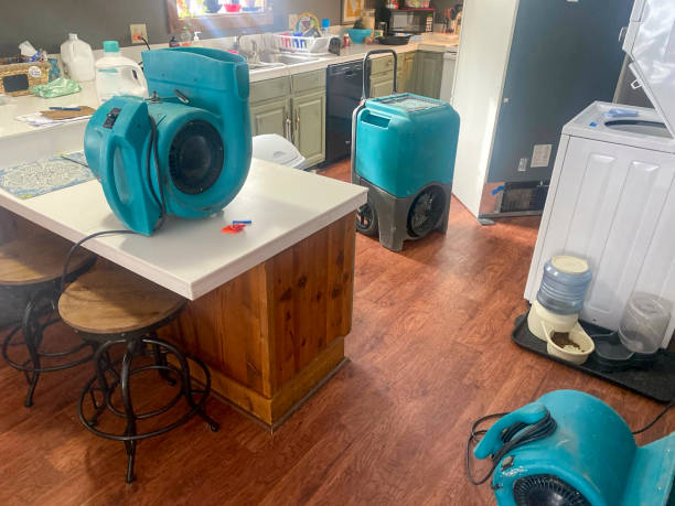 Best Mold removal after water damage  in Bard College, NY