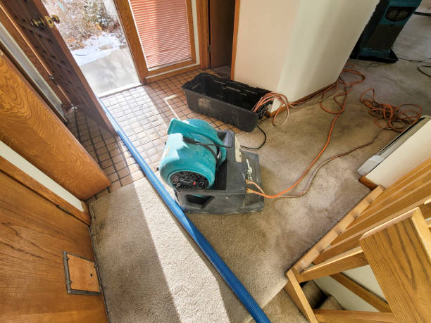 Best Emergency water damage restoration  in Bard College, NY